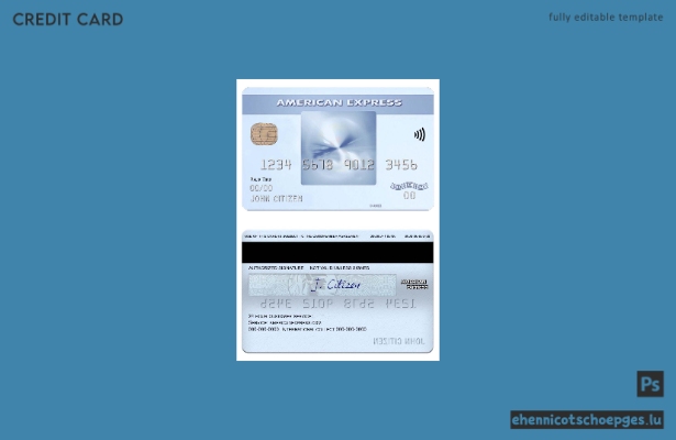 USA Georgia Gainesville First Century Bank American Express Everyday Kreditkarte – Beispielvorschau